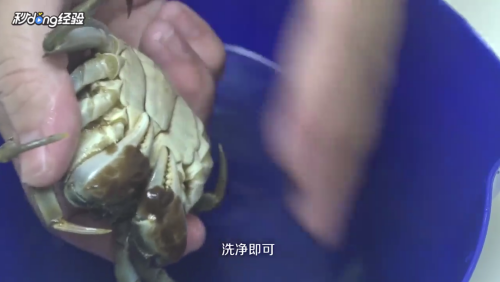 大闸蟹怎么清洗