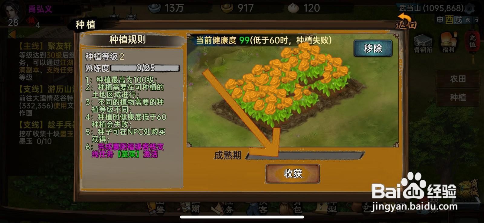 武林侠影玫瑰花怎么获得