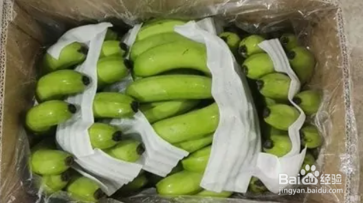 香蕉催熟的方法有几种