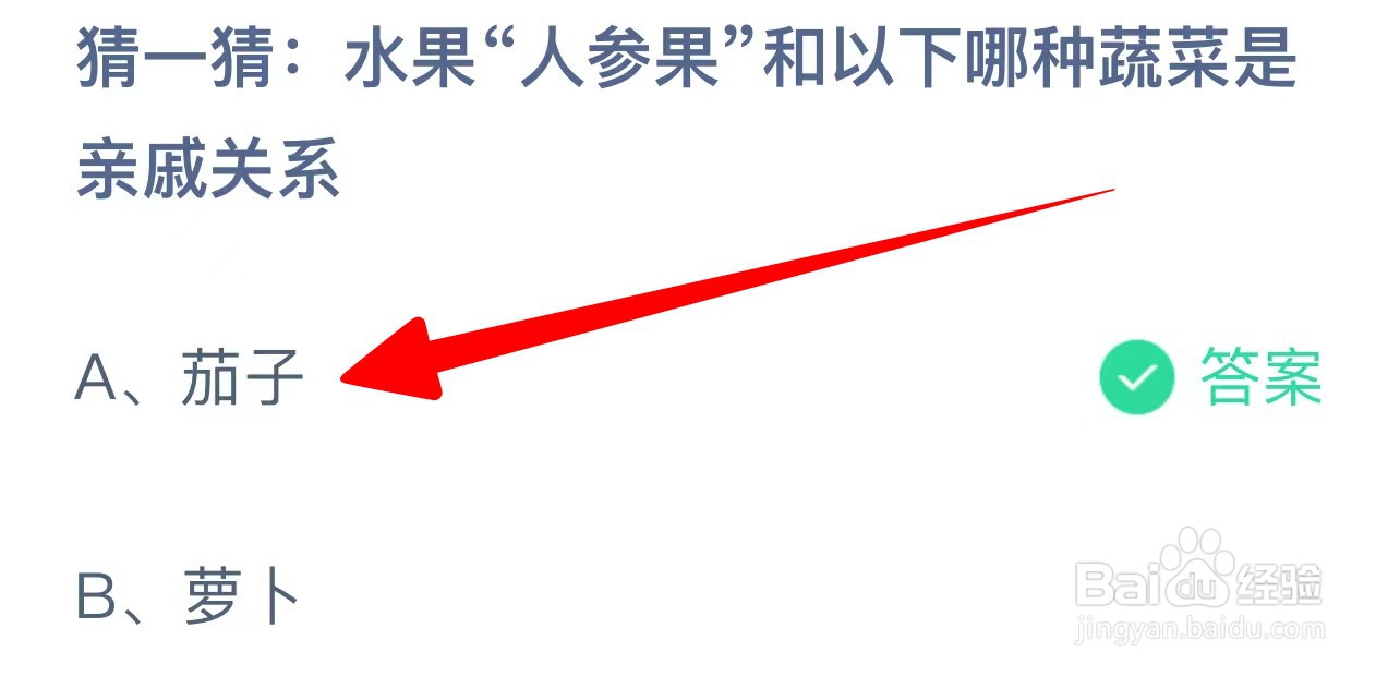 水果人参果和以下哪种蔬菜是亲戚关系?蚂蚁庄园