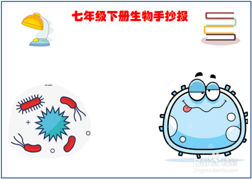 七年级下册生物手抄报