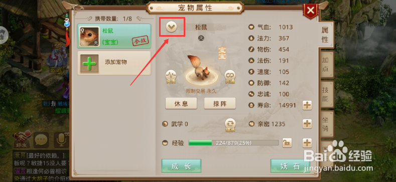 问道手游怎么给宠物改名