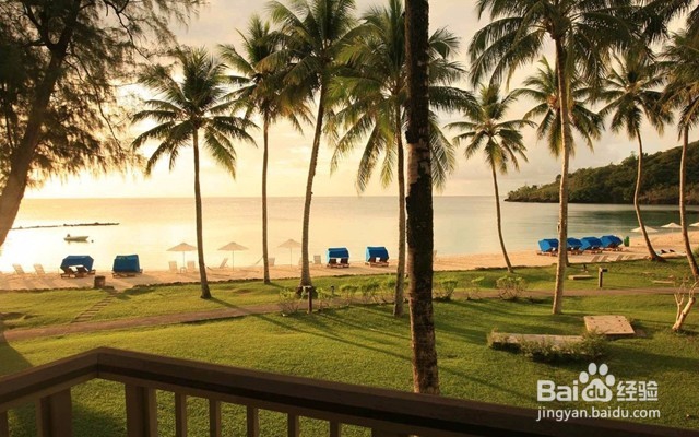 十一免签的高性价比海岛——帕劳旅游攻略