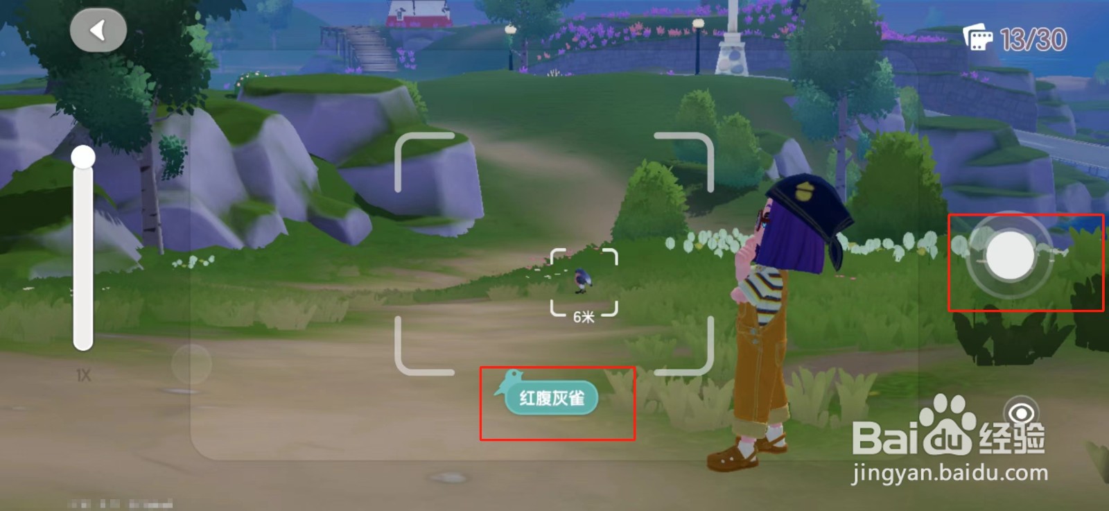 心动小镇红腹灰雀在哪个位置