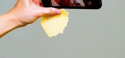 如何学会这些关于宠物的小妙招