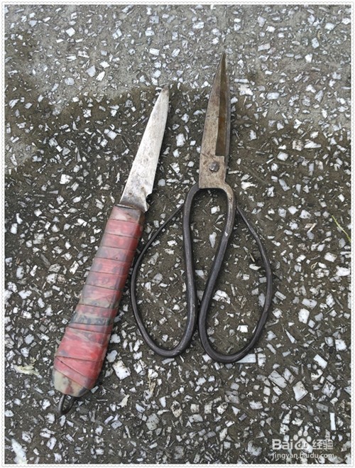 自做过滤渣滓通水的地沟盖