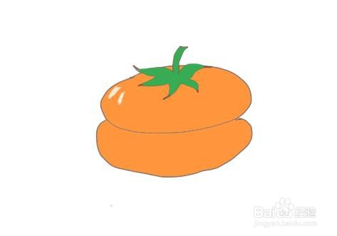 sketchbook怎么画柿子