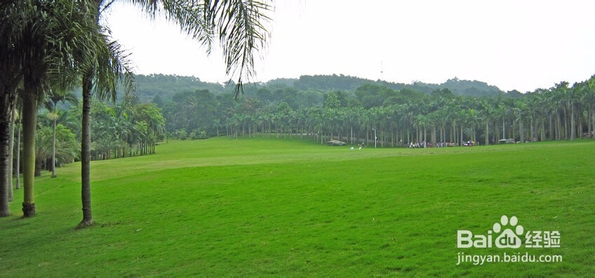 第一次的感觉你记得之开始重视身体。