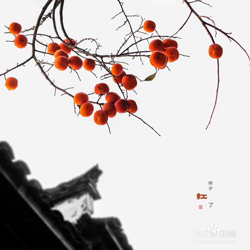 中秋节吃什么水果好