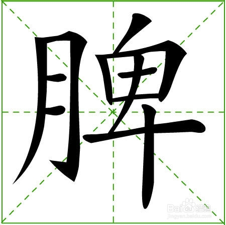 如何养好你的脾