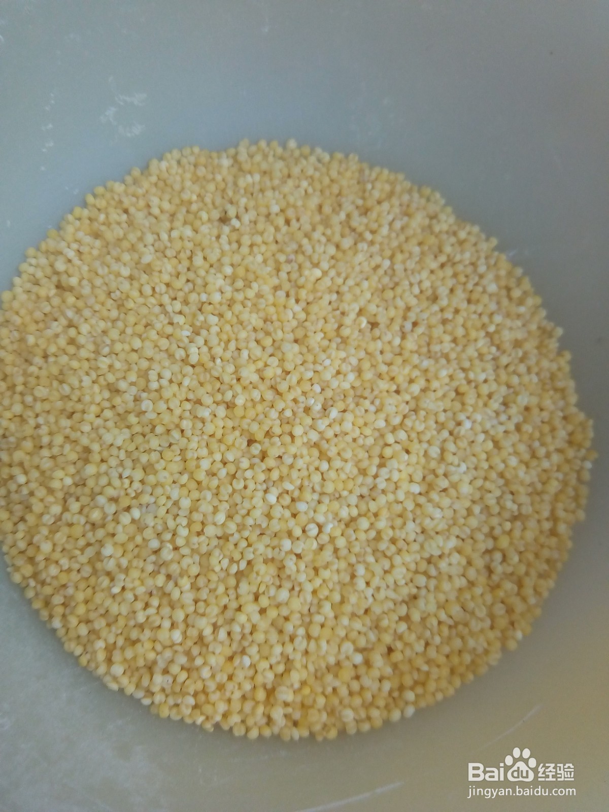 营养的小米地瓜粥