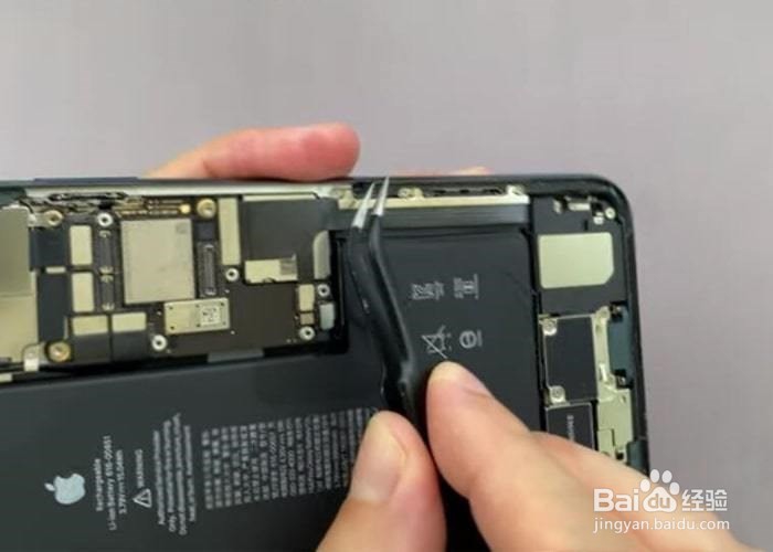 更换iPhone 11 Pro / Pro Max后置摄像头教程