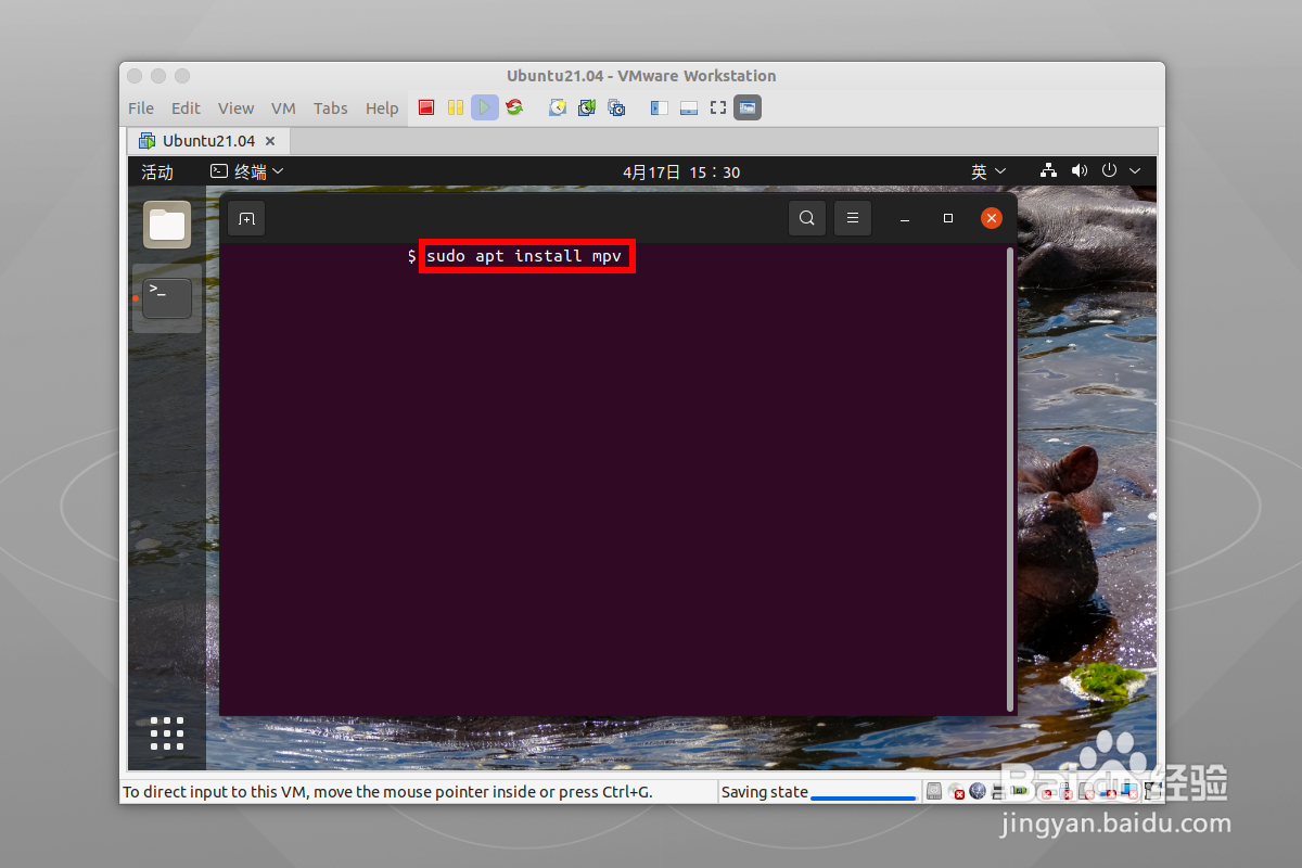 ubuntu21.04怎么播放rmvb视频