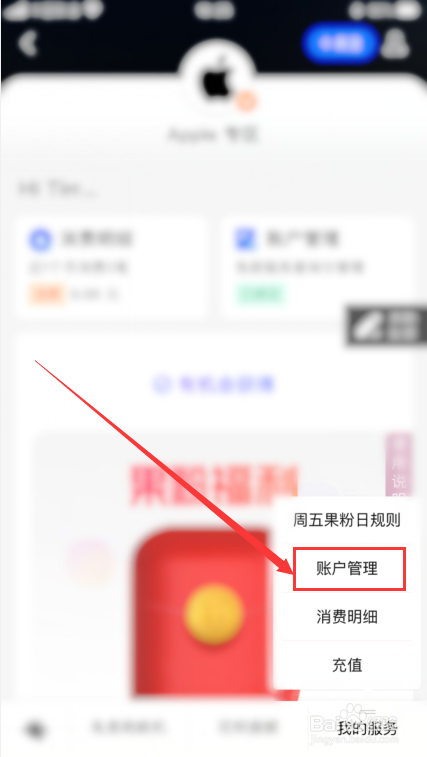支付宝怎么设置苹果支付限额