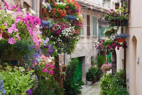 请问网名“拾柒”为什么是爱你的意思