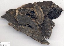 常见病便秘：[5]饮食疗法