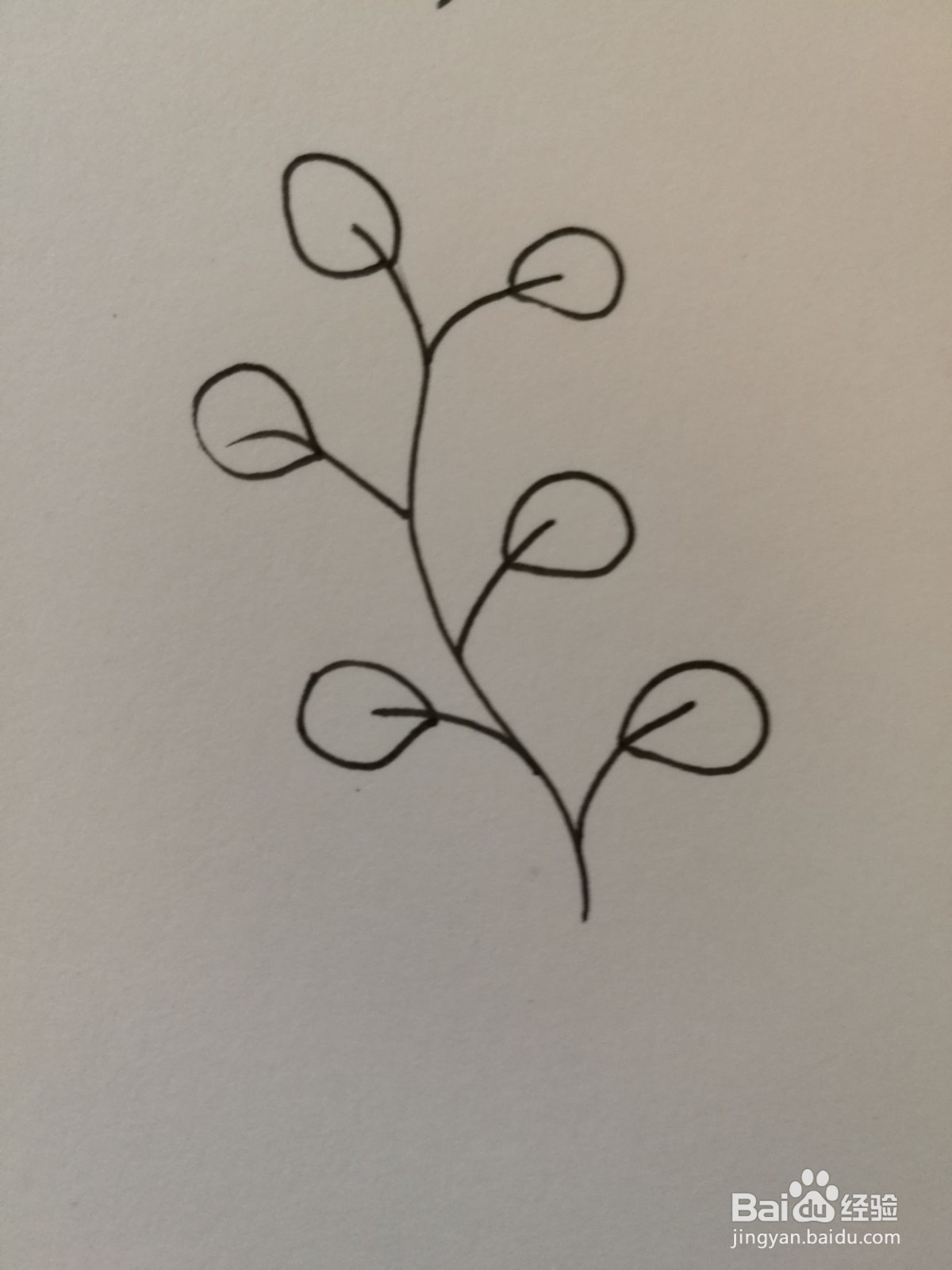 小草简笔画之画法九