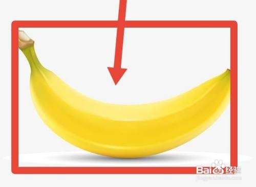 青香蕉冬天最快催熟方法