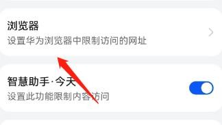 怎么设置仅允许访问已指定的网站?