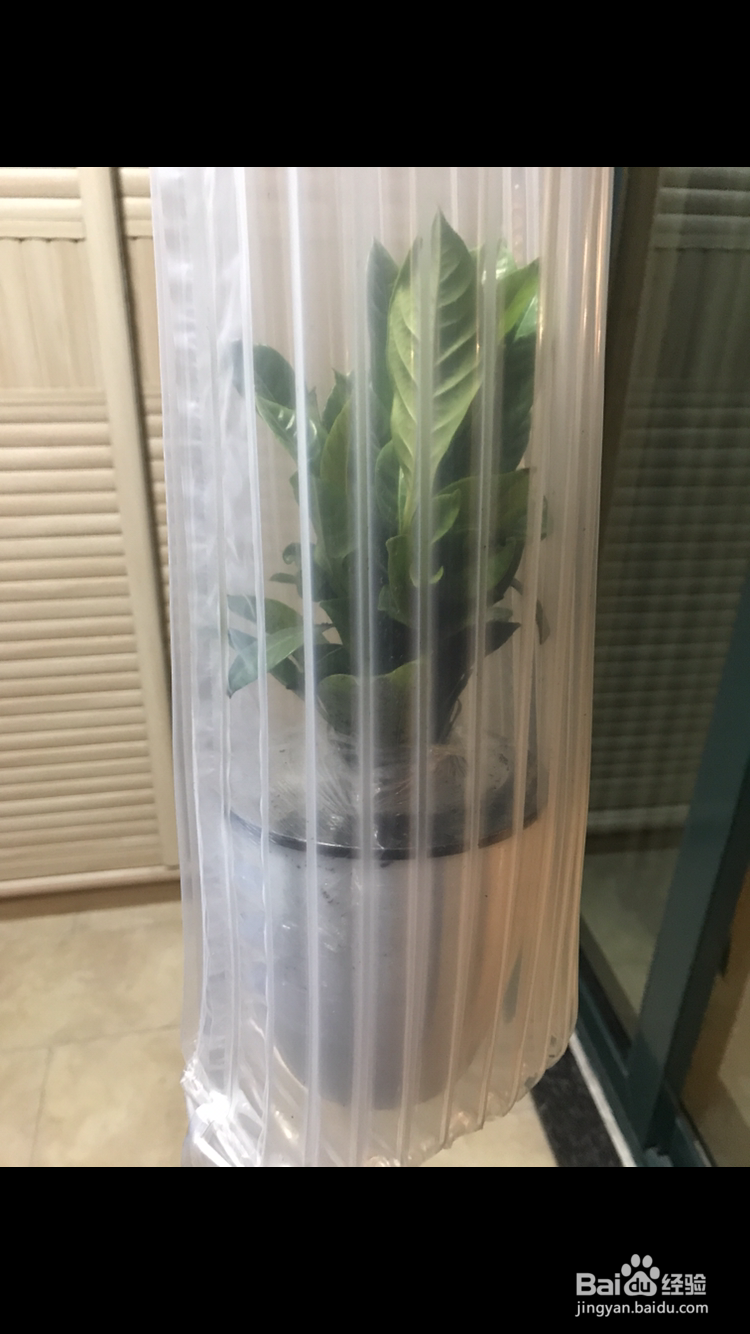 苹果手机怎么将照片变为视频