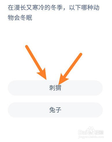在漫长又寒冷的冬季，哪种动物会冬眠蚂蚁庄园