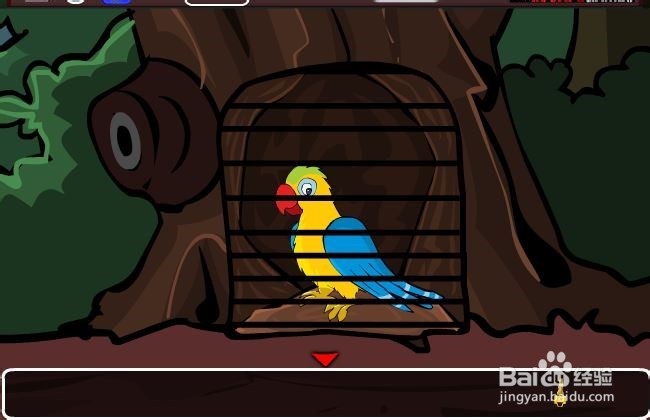 彩虹鹦鹉逃脱攻略：[4]