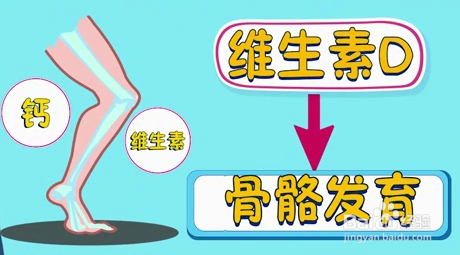 怎样让孩子长高变长腿欧巴？只补钙就够了吗？