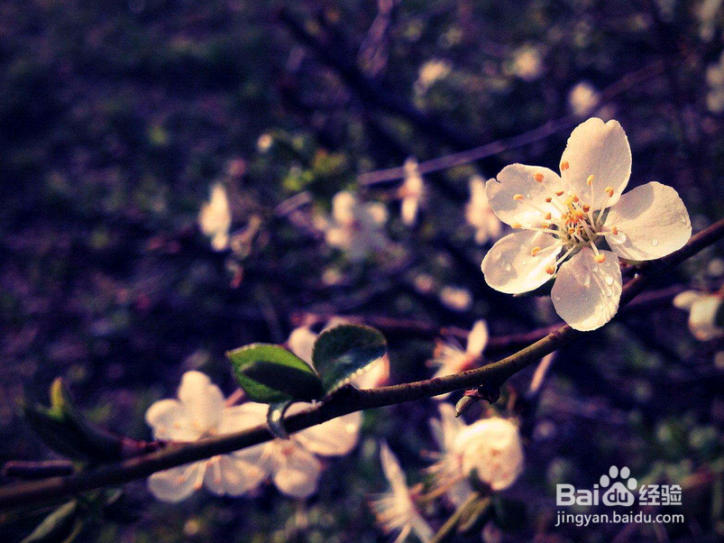 哈佛大学：一个人慢慢成为一个废柴的九大根源！