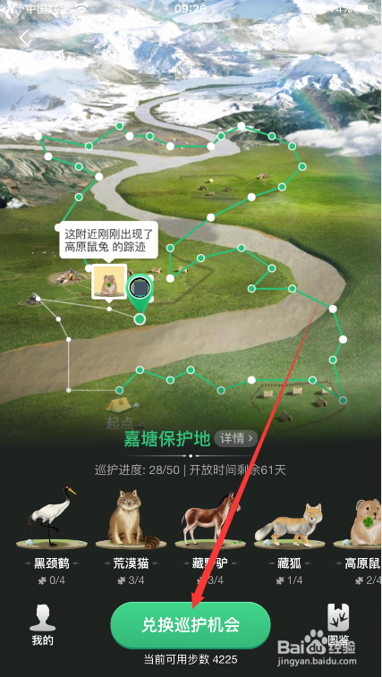 蚂蚁森林保护地巡护怎么玩