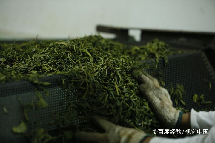 蒲公英加工方法
