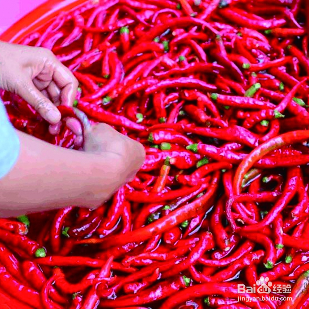 辣椒酱保存储存方法