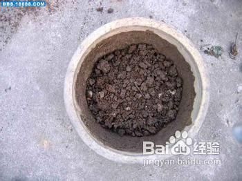 如何避免盆栽花卉出现烂根现象