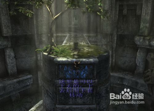 《古墓丽影8：地下世界》劳拉之影全秘点指导！