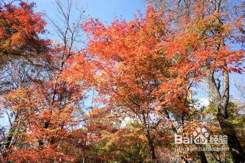 横头山一日游攻略