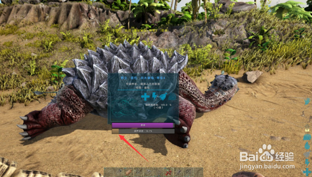 方舟生存进化如何驯服淡水碳龟