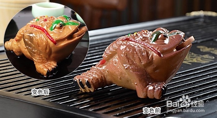 泡简易功夫茶的步骤