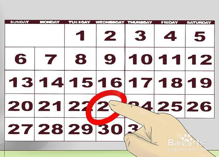 如何管理你的养兔场