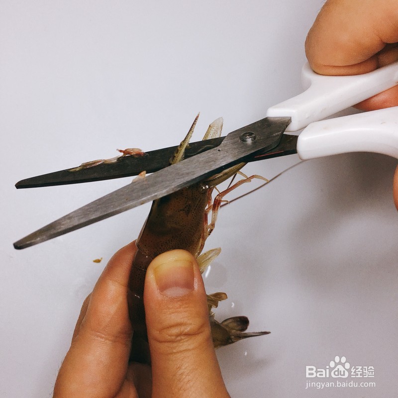 虾一般煮几分钟