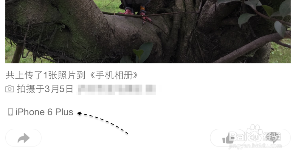 苹果六怎么在空间显示iPhone6手机型号