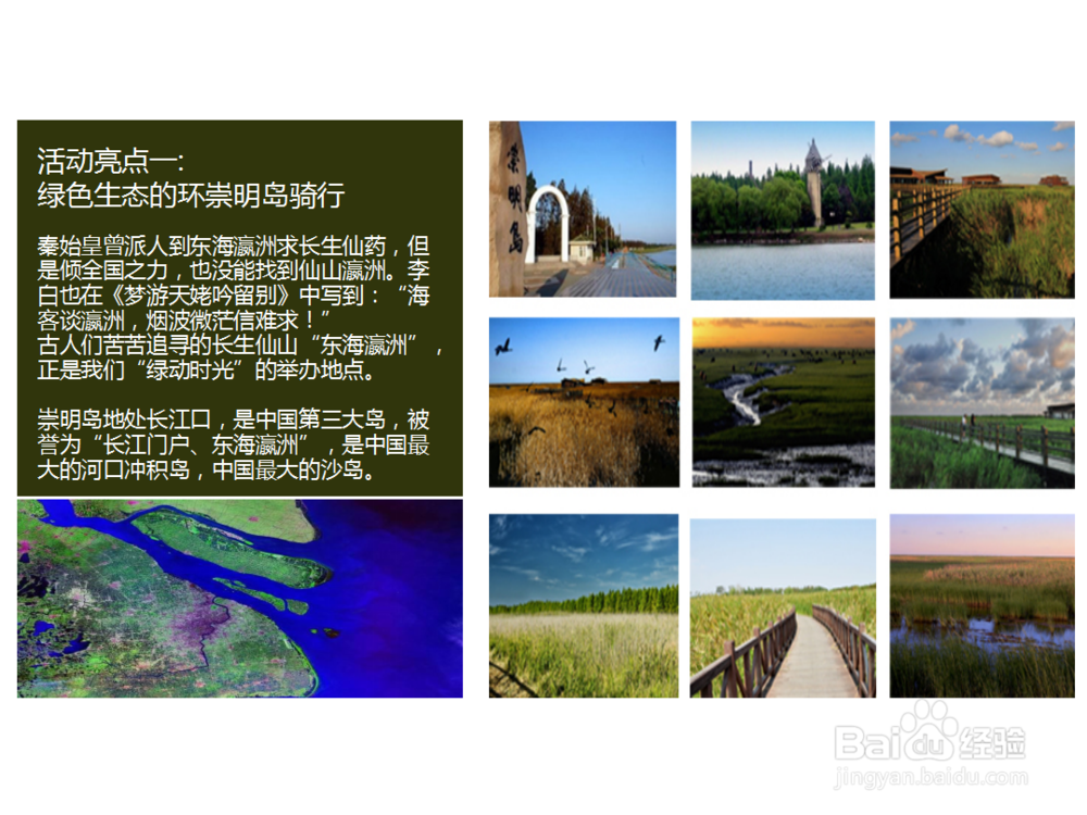 活动策划案具体策划方案