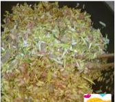 韭黄虾饺的做法