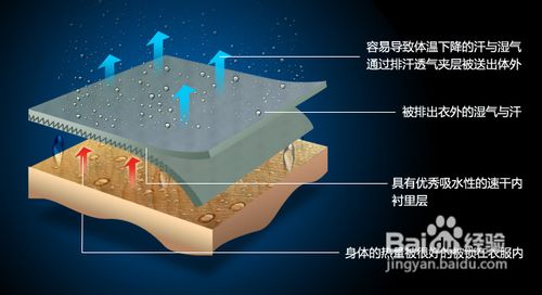 怎样选购抓绒衣？选购抓绒衣的四大要点