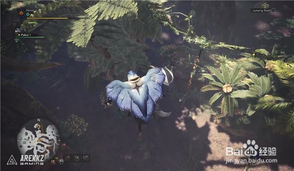 怪物猎人世界弓教程