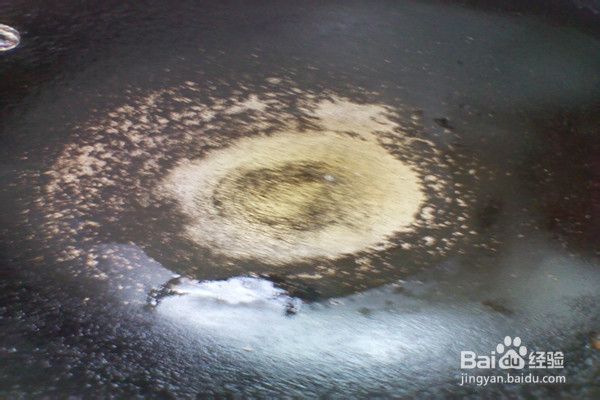 我的厨房：怎样炒南瓜