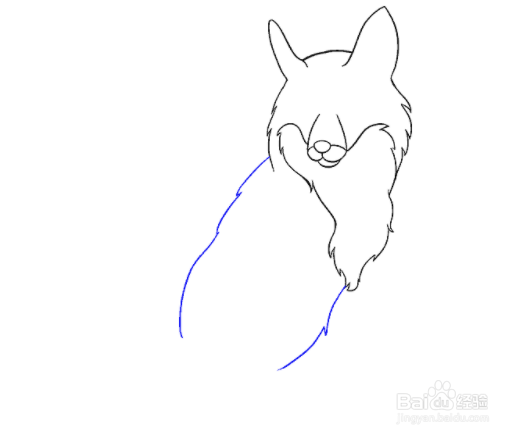 如何绘制狐狸
