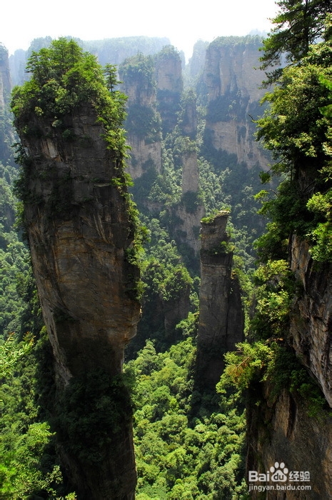 张家界旅游住宿