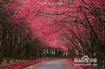 烦恼了，怎样自己安慰自己