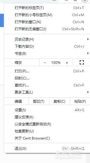 百分浏览器怎么使用自定义DNS