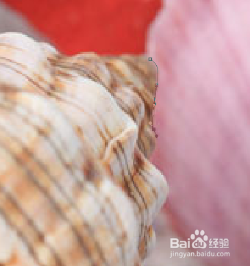 photoshop/PS抠图教程