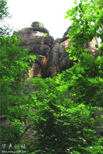 汤旺河石林风景区游玩攻略
